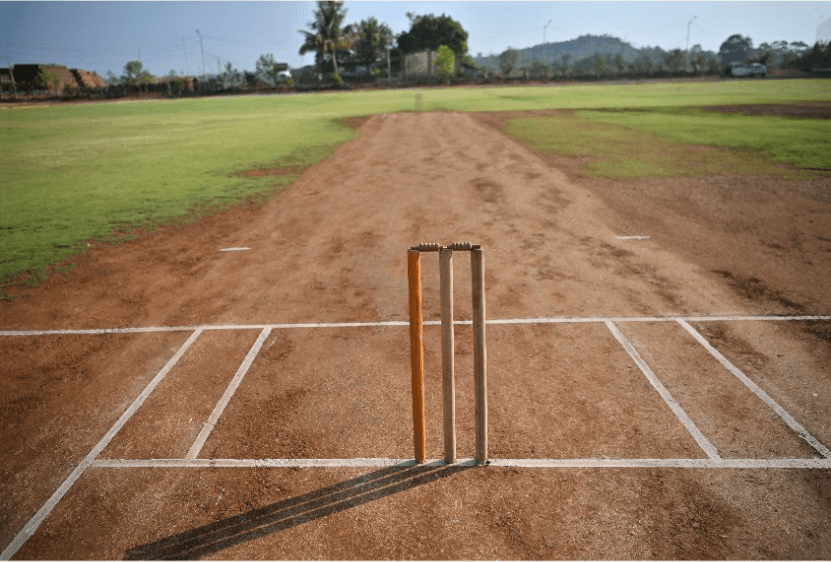 Cricket pitch
